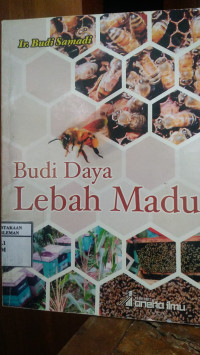 Image of Budi Daya Lebah Madu